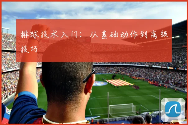 排球技术入门:从基础动作到高级技巧