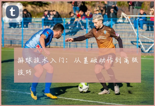 排球技术入门:从基础动作到高级技巧