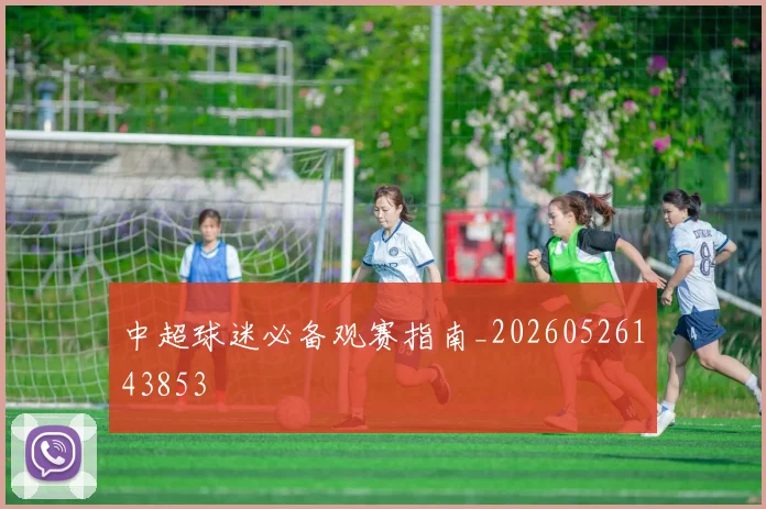 中超球迷必备观赛指南_20260526143853