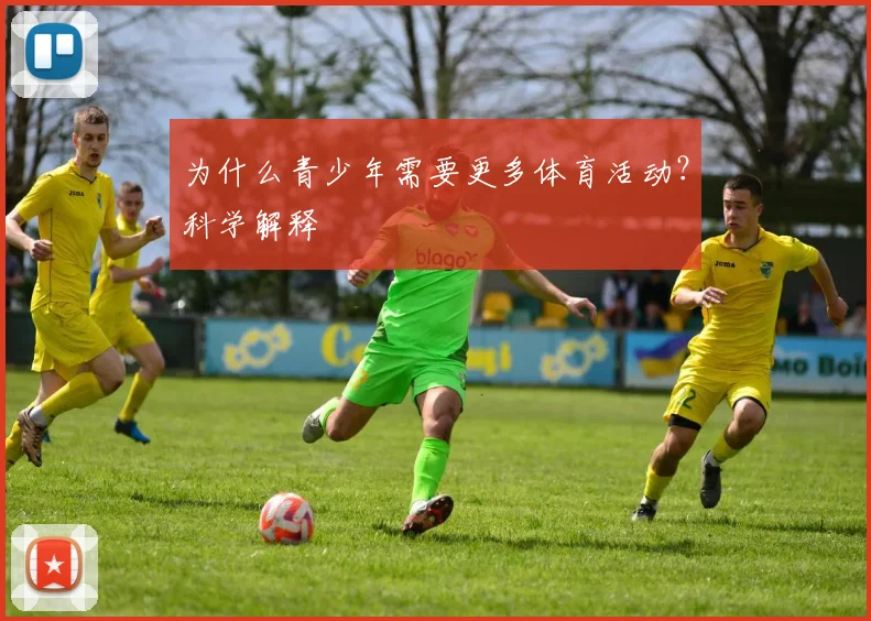 为什么青少年需要更多体育活动?科学解释